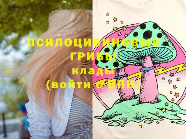 мяу мяу мука Алзамай