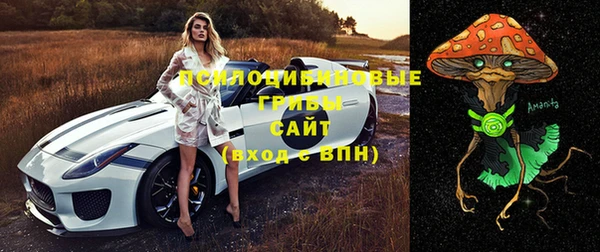 МДПВ Алексеевка