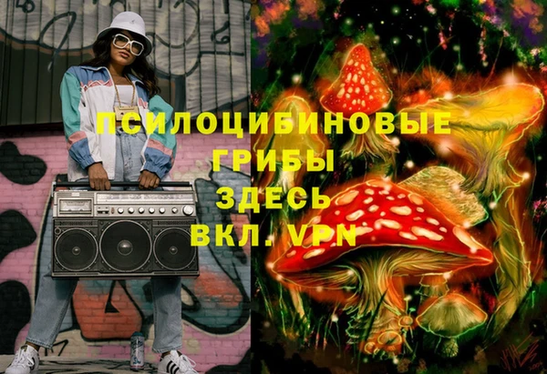 МДПВ Алексеевка