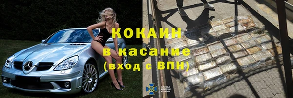 мет Алексин
