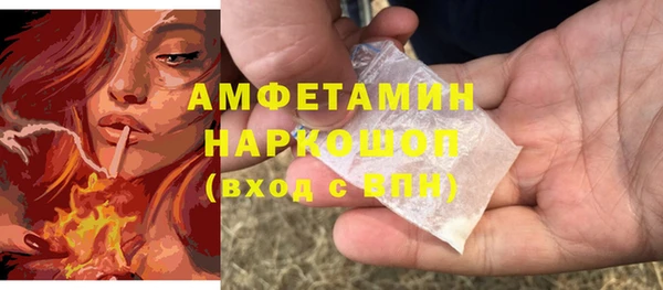 мет Алексин